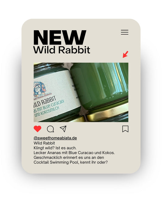 Neu im Shop - Wild Rabbit